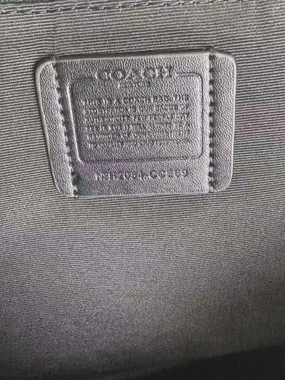 Coach Halloween Limited Edition Ghost Pumpkin Signature Tote Bag